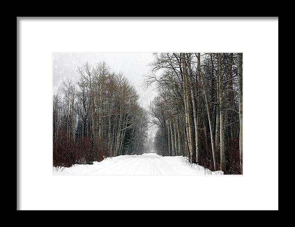 Aspen Framed Print featuring the photograph Colorado High Country Christmas by Brian Davis