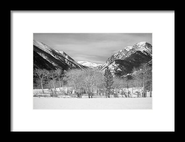 Trees Framed Print featuring the photograph Colorado Rocky Mountain Winter Horseshoe Park BW by James BO Insogna