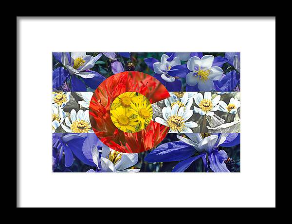 Colorado Framed Print featuring the photograph Colorado State Flag with Wildflower Textures by Aaron Spong