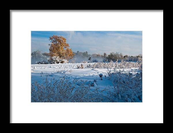 Winter Framed Print featuring the photograph Colorado Waning Autumn and Approaching Winter by Cascade Colors