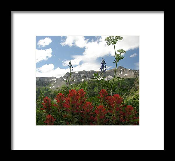 Colorado Framed Print featuring the photograph Colorado Wildflowers by Robert Lozen
