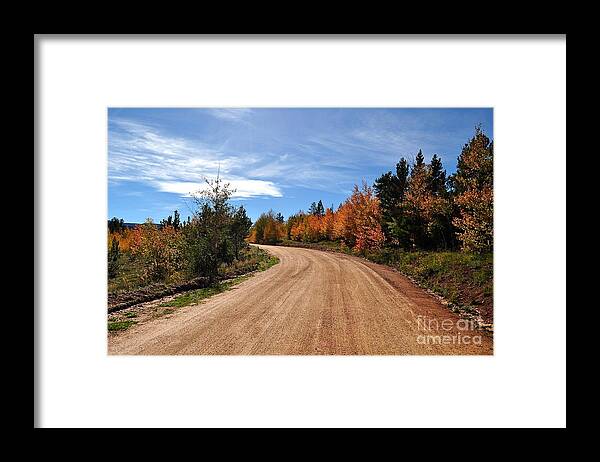 Road Framed Print featuring the photograph Colored Road by Susan Chesnut