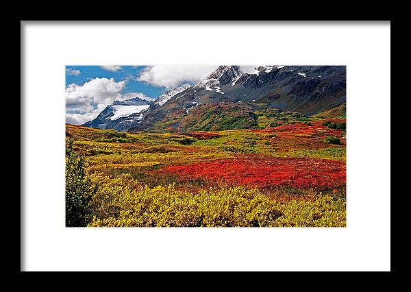 Alaska Framed Print featuring the photograph Colorful Land - Alaska by Juergen Weiss