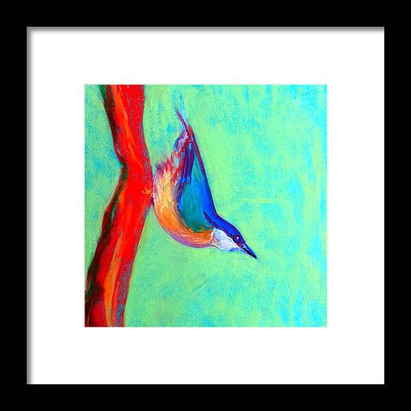 Bird Nuthatch Nut-hatch Colorful Whimsical Quirky Decorative Colourful Bright Vibrant Pastel Soft Pastels Soft-pastels Painting Pretty Unique Style Bold Strokes Birdie Birds Birdies Heart-warming Cute Child's-room Childs Child's Room Vivid Drawing Sketch Loose Distinctive Funny Fun Blue Green Red Yellow Cheerful Brighten Framed Print featuring the painting Colorful Nuthatch Bird by Sue Jacobi