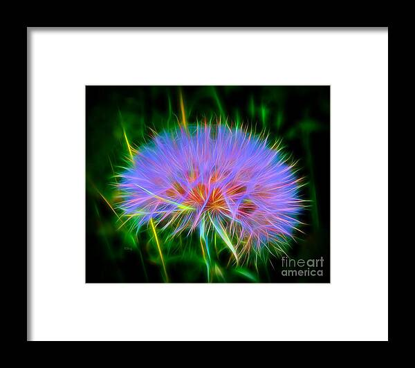 Colorful Puffball Framed Print featuring the photograph Colorful Puffball by Patrick Witz