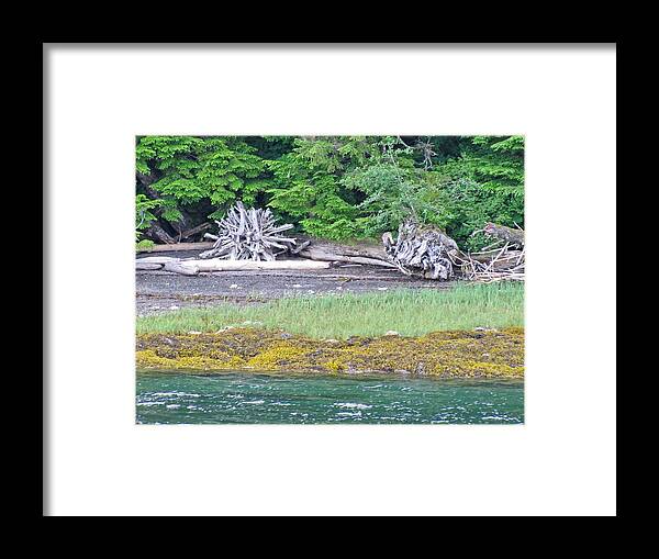 Landscape Framed Print featuring the photograph Colors of Alaska - Layers of Greens by Natalie Rotman Cote