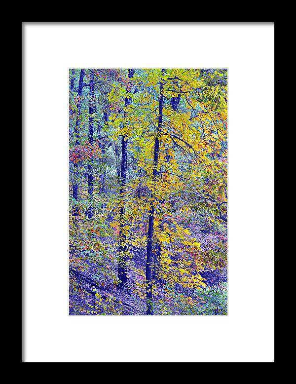 Autumn Framed Print featuring the photograph Colors Of Autumn by Deena Stoddard