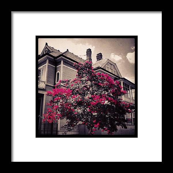 Nola Framed Print featuring the photograph Colors Of New Orleans by Glen Abbott