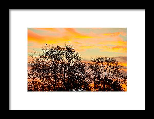 Landscape Framed Print featuring the photograph Colors of the Morning by Mary Hahn Ward