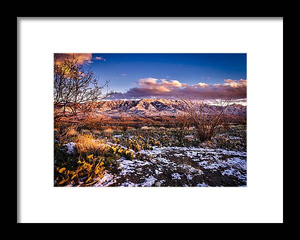 Arizona Framed Print featuring the photograph Colors Of Winter by Mark Myhaver