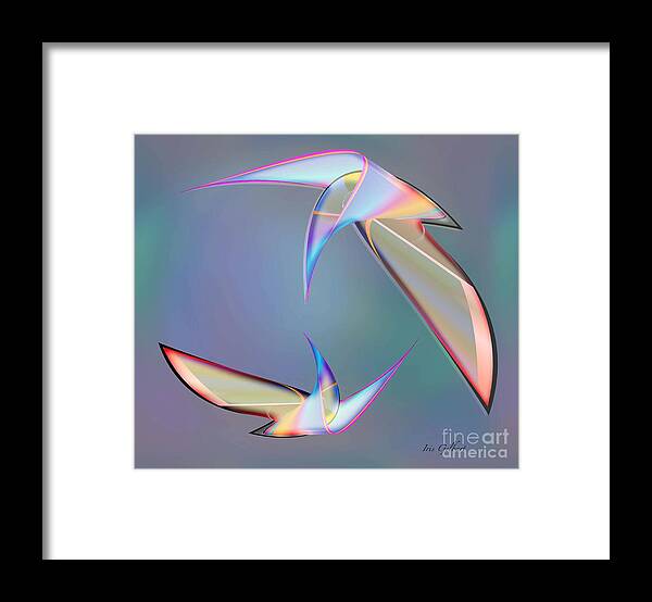 Birds Framed Print featuring the digital art Colourful Plumage 2 by Iris Gelbart