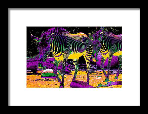 Zebra Framed Print featuring the photograph Colourful Zebras by Aidan Moran