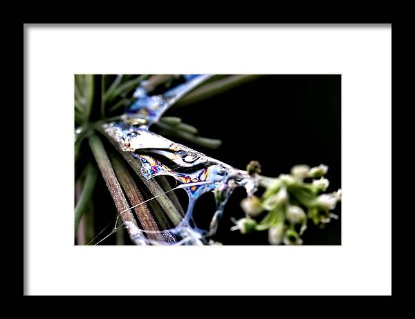 Colours Framed Print featuring the photograph Colours by Leif Sohlman