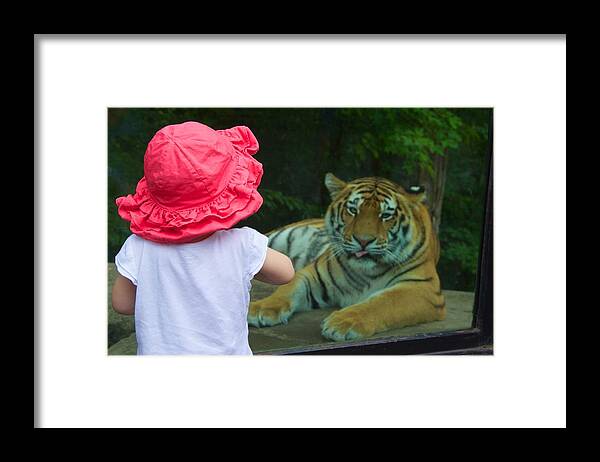 Zoo Framed Print featuring the photograph Come a Little Closer by Dave Files