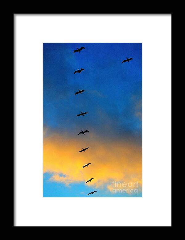 Birds Framed Print featuring the photograph Coming Home 2 by Theresa Ramos-DuVon