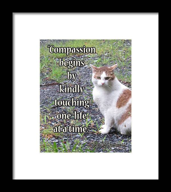 Compassion Framed Print featuring the photograph Compassion by Linda L Martin