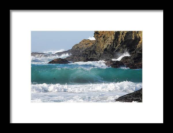 Mendocino Framed Print featuring the photograph Complexity by Donna Blackhall