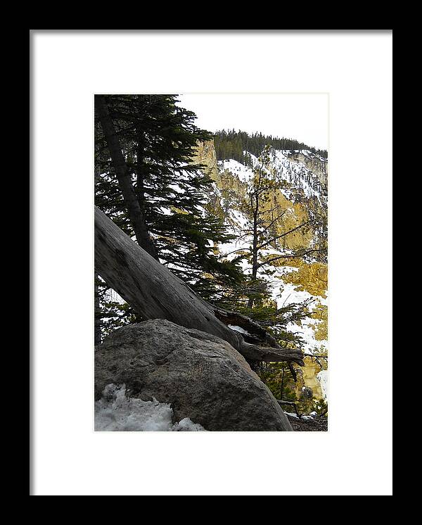 Lower Falls Framed Print featuring the photograph Composition at Lower Falls by Michele Myers