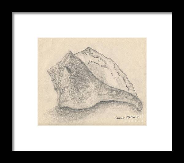 Seashell Framed Print featuring the drawing Conch Shell by Marlene Robbins
