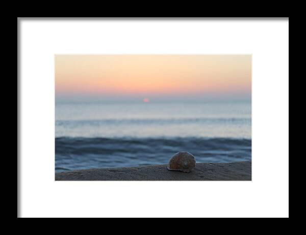 Seashell Framed Print featuring the photograph Conch Shell Sunrise by Robert Banach