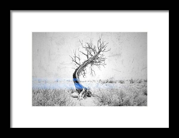 Tree Framed Print featuring the photograph Conclusion by Mark Ross