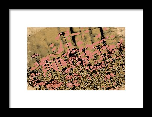 Mixed Media Framed Print featuring the painting Coneflowers by Bonnie Bruno