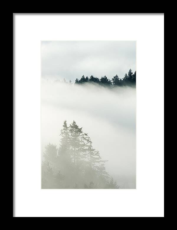 Feb0514 Framed Print featuring the photograph Conifa And Fog Deception Pass Washington by Kevin Schafer