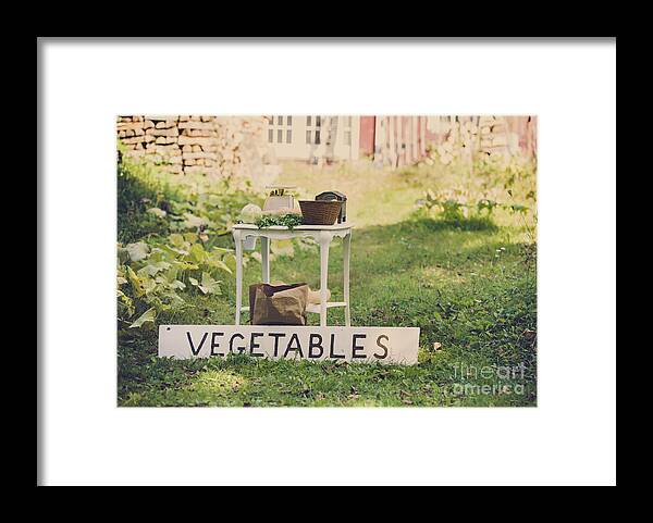 Vegetables Framed Print featuring the photograph Connecticut Vegetable Stand by Diane Diederich