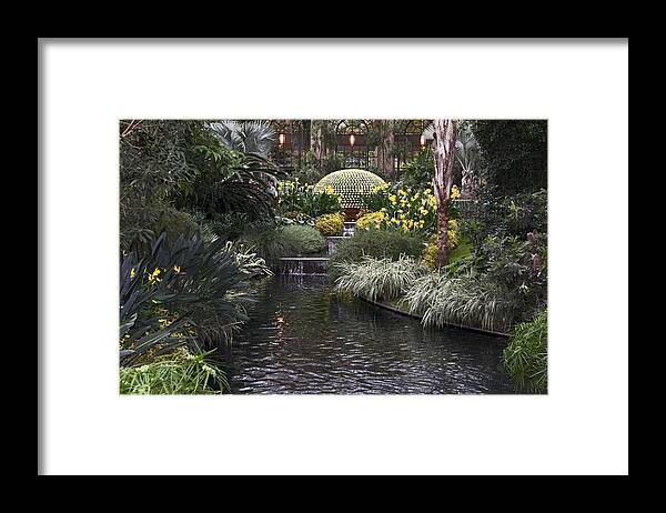 Chrysanthemum Display Framed Print featuring the photograph Conservatory in Autumn by Sally Weigand