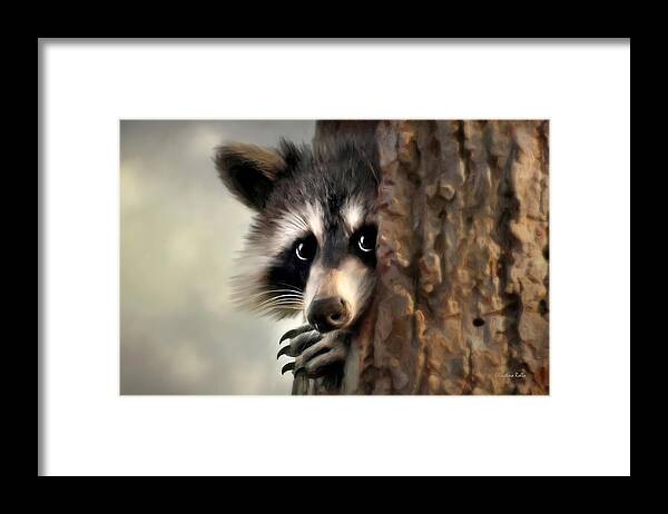 Raccoon Framed Print featuring the painting Conspicuous Bandit by Christina Rollo