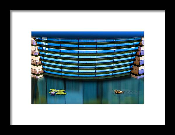 Photography Framed Print featuring the photograph Contented by Paul Wear