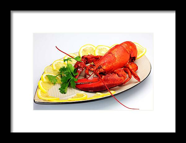 Red Framed Print featuring the painting Cooked lobster by Paul Ge