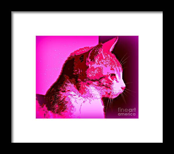 Cat Canvas Framed Print featuring the photograph Cool Cat by Clare Bevan