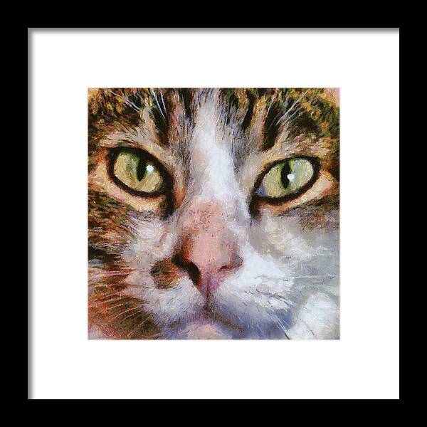 Animal Framed Print featuring the painting Cool for Cats by Taiche Acrylic Art