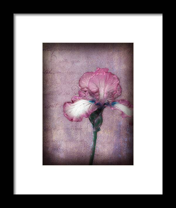 Purple Framed Print featuring the photograph Cool Iris by Kathy Williams-Walkup