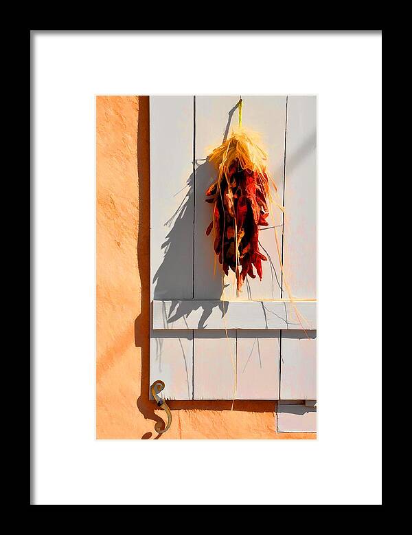 Southwestern Framed Print featuring the photograph Cool Shadows Hot Chilies by Jan Amiss Photography