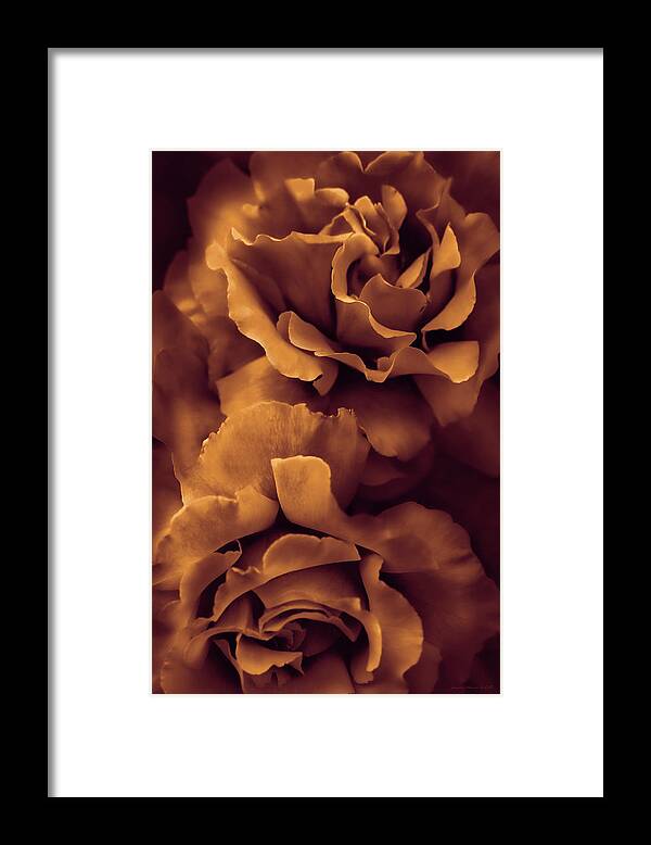 Rose Framed Print featuring the photograph Copper Rose Floral Bouquet by Jennie Marie Schell