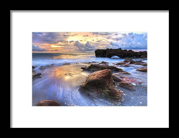 Coastal Framed Print featuring the photograph Coral Garden by Debra and Dave Vanderlaan