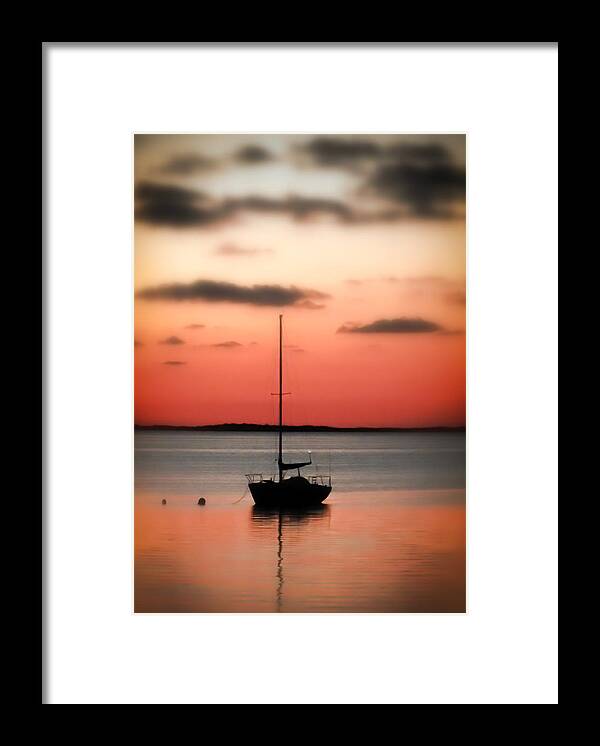 Coral Framed Print featuring the photograph CORAL of the KEYS by Karen Wiles