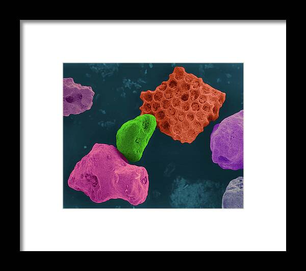 96333a Framed Print featuring the photograph Coral Sand by Dennis Kunkel Microscopy/science Photo Library