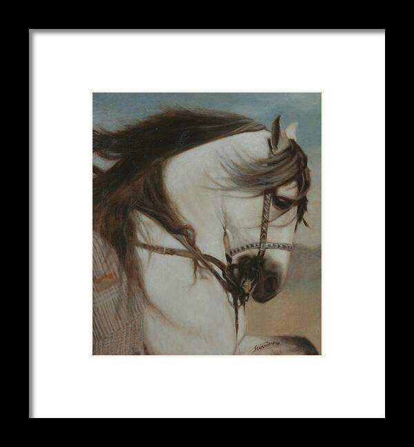 Andalusian Stallion Framed Print featuring the painting Cordero- Doma Vaquera by Sciandra 