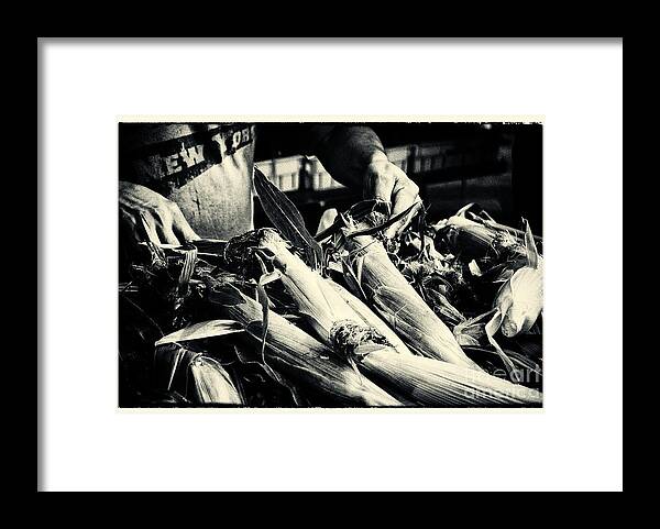 Filmnoir Framed Print featuring the photograph Corn Cobs at the Market New York City by Sabine Jacobs