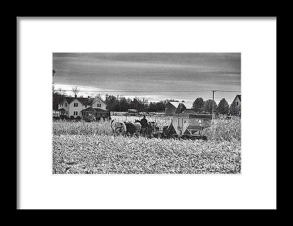 Amish Framed Print featuring the photograph Corn Picker November 2013 by David Arment