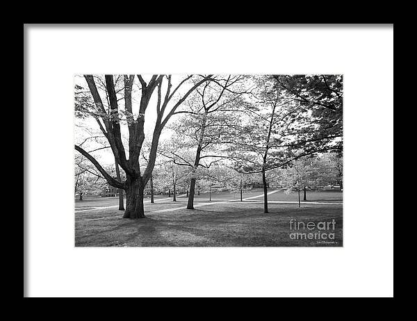 Cornell University Framed Print featuring the photograph Cornell University Landscape by University Icons