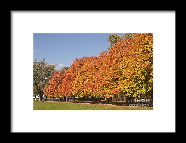 Fall Foliage Framed Print featuring the photograph Corning Fall Foliage 3 by Tom Doud