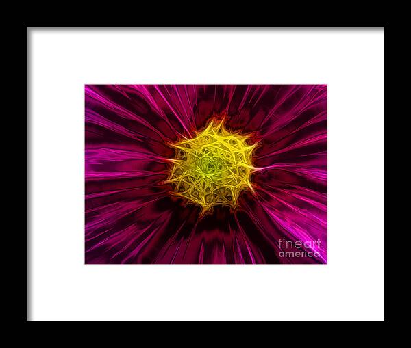 Cosmea Framed Print featuring the photograph Cosmea by Yvonne Johnstone