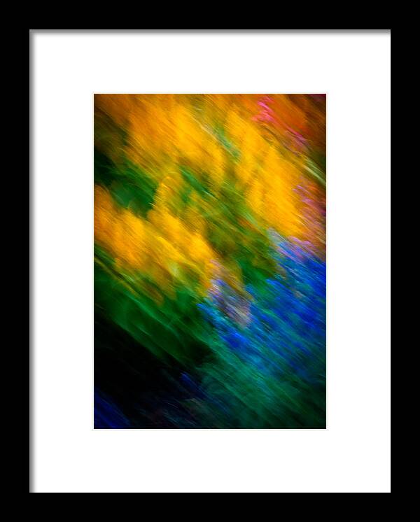 Flowers Framed Print featuring the photograph Cosmic Color by Christie Kowalski