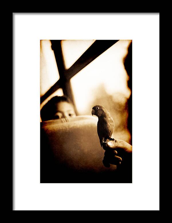Pictorial Framed Print featuring the photograph Costa Rican Bird Boy by Jennifer Wright