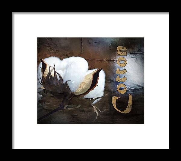 Cotton Framed Print featuring the photograph Cotton by Kathy Clark