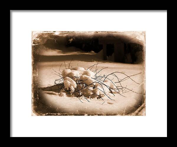 Winter Framed Print featuring the digital art Cotton Pickin' Winter by Tg Devore